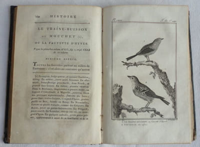 Histoire naturelle, générale et particulière par Leclerc de Buffon. Des plantes. Tome 51 seul.