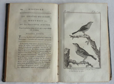 Histoire naturelle, générale et particulière par Leclerc de Buffon. Des plantes. Tome 51 seul.. BUFFON (Georges-Louis Leclerc, comte de)