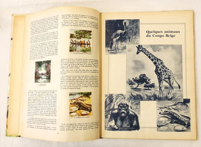 Le tour du monde en 120 images par Jacqueline (p. c. c. Stany).