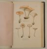 Les champignons de France. Atlas seul contenant 60 planches.. CORDIER (François-Simon)