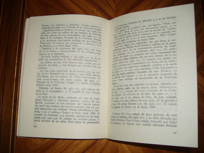 Guia abreviada del Museo Lazaro Galdiano.