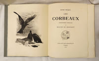 Les corbeaux.