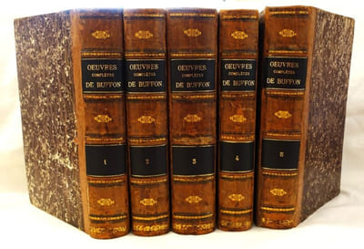 Oeuvres complètes de Buffon mises en ordre et précédées d'une notice historique par M. A. Richard, suivies de la classification comparée d'après MM. Cuvier, Lesson etc., etc.
