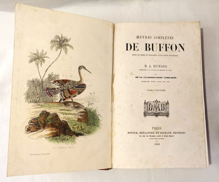 Oeuvres complètes de Buffon mises en ordre et précédées d'une notice historique par M. A. Richard, suivies de la classification comparée d'après MM. ...