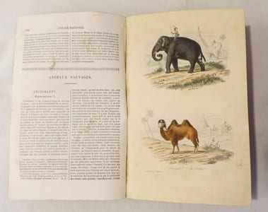Oeuvres complètes de Buffon mises en ordre et précédées d'une notice historique par M. A. Richard, suivies de la classification comparée d'après MM. Cuvier, Lesson etc., etc.