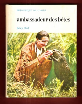 Ambassadeur Des Bêtes. OWL Grey