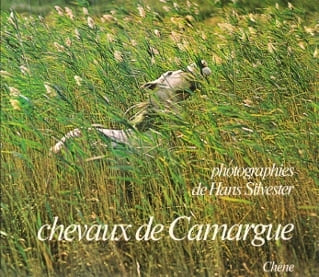 Chevaux De Camargue. SILVESTER Hans