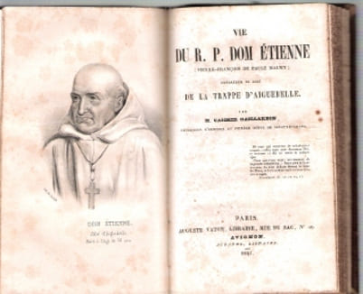 Vie du Père Marie Ephrem ( Vincent-Joseph-Mathieu Ferrer ) Ou Histoire D'un Moine De Nos Jours . Mort à L'Abbaye de La Trappe d'Aiguebelle ( Drôme ) - ...