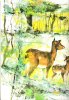 Mes 3 Contes Favoris : Les Animaux Musiciens - La Chèvre De M. Seguin -  L'Album De Bambi. GRIMM , DAUDET Alphonse , DES GOUTTES Jacqueline