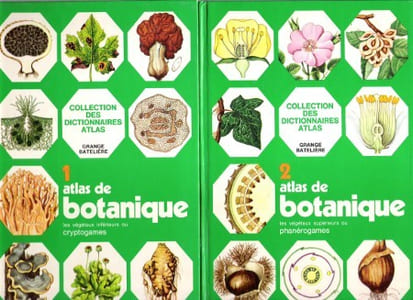 Atlas De Botanique . Tome 1 - Les Végétaux Inférieurs Ou Cryptogames . Tome 2 - Les Végétaux Supérieurs Ou Phanérogames