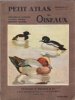 Petit Atlas Des Oiseaux . Fascicule  IV - Bécasseaux , Goélands , Canards , Hérons , Impennes , Ratites. DELAPCHIER L.