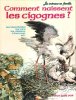 Comment Naissent Les Cicognes ? Les Hirondelles , Les Pics ,, Les Oiseaux à Berceau. Anonyme