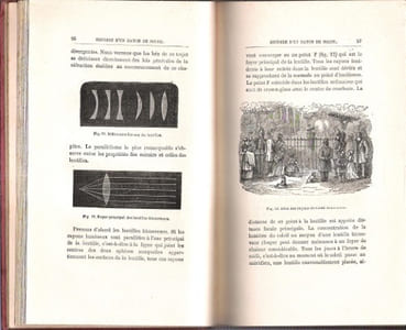 Histoire D'un Rayon De Soleil Ouvrage illustré De 70 Gravures