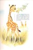 Bébés Animaux : Lutins Des Bois - Yap Le Renard - Les Marcassins de La Forêt - Petit Prince Des Bois - Les Cabrettes - Les Bébés Pelote - Tout Frisé - ...