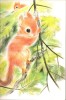 Bébés Animaux : Lutins Des Bois - Yap Le Renard - Les Marcassins de La Forêt - Petit Prince Des Bois - Les Cabrettes - Les Bébés Pelote - Tout Frisé - ...