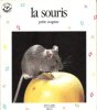 La Souris Petite Coquine. FRATTINI Stéphane