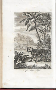 Les Animaux Industrieux