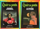 Souhaits Dangereux - Le Fantôme de La Plage : 2 Chair De Poule. STINE R. L.