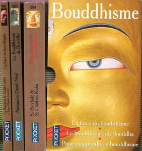 La Force Du Bouddhisme : Mieux Vivre dans le Monde D'aujourd'hui - Le Bouddhisme De Bouddha - Pour Comprendre Le Bouddhisme