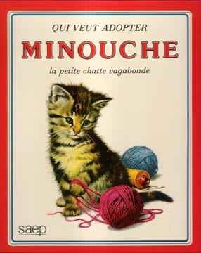 Qui Veut Adopter MINOUCHE la Petite Chatte Vagabonde. KLETHI , D.