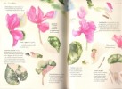 Le Carnet Nature de L'aquarelliste : Les Secrets De La Peinture Florale Dévoilés Par les Plus Grands Artistes. SELIGMAN Patricia