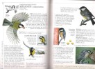 L'Ami Des Oiseaux : Le guide Complet Pour Nourrir , Observer et Protéger Les Oiseaux. BURTON Robert , CUISIN Michel