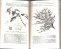 Eléments D'Histoire Naturelle : Botanique. MONTMAHOU Camille de 