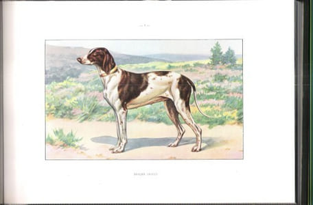 Les Chiens de Chasse