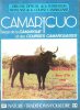 Le Camariguo n° 107  Novembre 1981 : Complet de son poster . Revue de la Camargue et Des Courses Camarguaises. Collectif