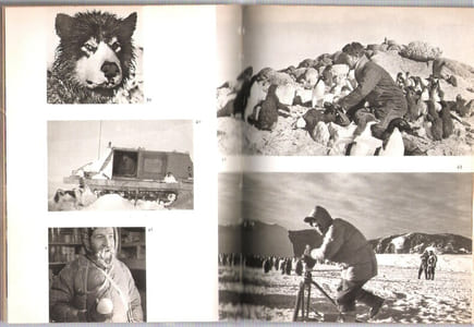 Des Manchots et des Hommes avec les Empereurs de L'Antarctique