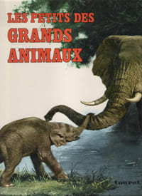 Les Petits Des Grands Animaux