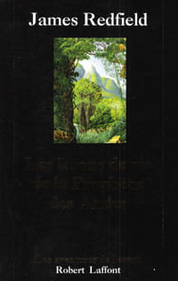 Les Leçons De Vie de La Prophétie Des Andes ( the Celestine Prophecy - an Experimential Guide ). REDFIELD James