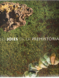 Catalogue De L'exposition : Les Joies de La Prehistoria . Andorra La Vella . Gava . Barcelone. Collectif