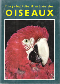 Encyclopédie Illustrée Des Oiseaux présenté Par Jean Dorst Professeur Au Museum D'histoire Naturelle De Paris . Illustré De 32 Hors-Texte En Couleurs ...