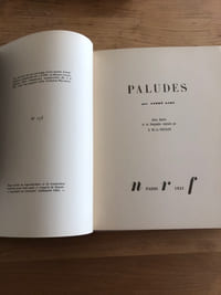 Paludes
