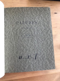 Paludes