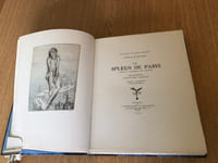 Le spleen de Paris