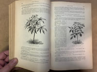 Les Plantes de Serre. Description-Culture-Emploi. Des espèces ornementales ou intéressantes cultivées dans les serres de l’Europe