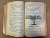Les Plantes de Serre. Description-Culture-Emploi. Des espèces ornementales ou intéressantes cultivées dans les serres de l’Europe