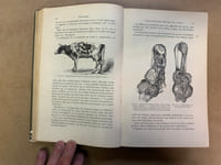 Traité des Maladies du bétail 