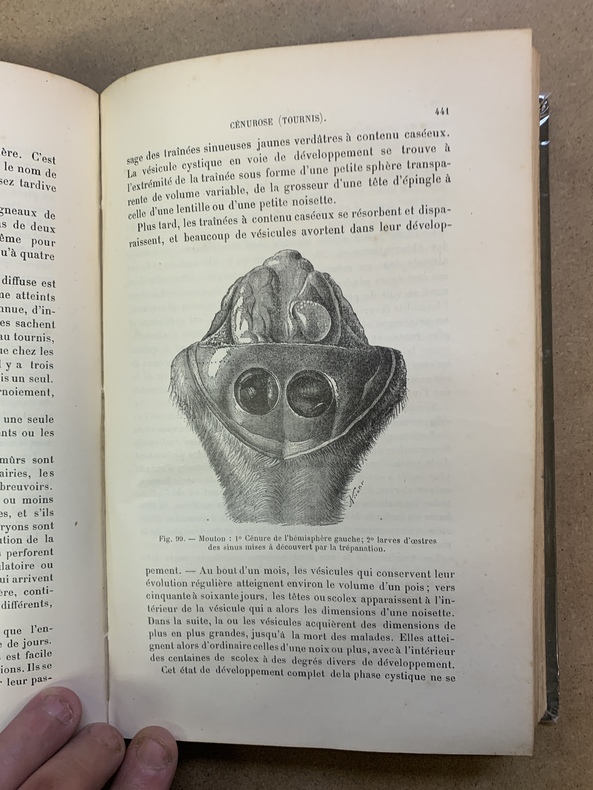 Traité Des Maladies Du Bétail - G. Moussou, 1906 - Livre Vétérinaire Ancien