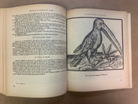 Animaux, Monstres et Prodiges