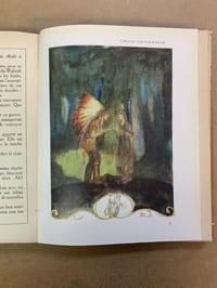 Dans le Royaume des Fleurs. Illustrations de Willy Pogany