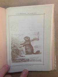 Le Gibier à Poil. Les quadrupèdes de la Chasse. Description. Mœurs-Acclimatation-Chasse. 30 eaux-fortes sur zinc en couleurs et 74 illustrations par Karl Bodmer. Quatrième édition