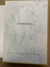 Champignons