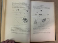 L’Art Néo-Calédonien. Documents recueillis par Marius Archambault 