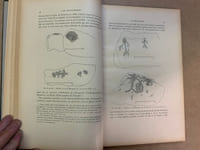 L’Art Néo-Calédonien. Documents recueillis par Marius Archambault 