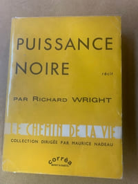 Puissance noire (Black Power)