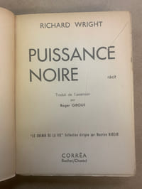 Puissance noire (Black Power)