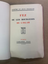 Fez ou les bourgeois de l’Islam 